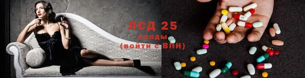 молекула духа Аркадак