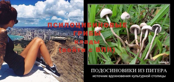 твердый Армянск