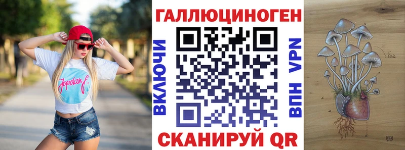 omg ТОР  Приморск  Галлюциногенные грибы GOLDEN TEACHER  где купить наркоту 