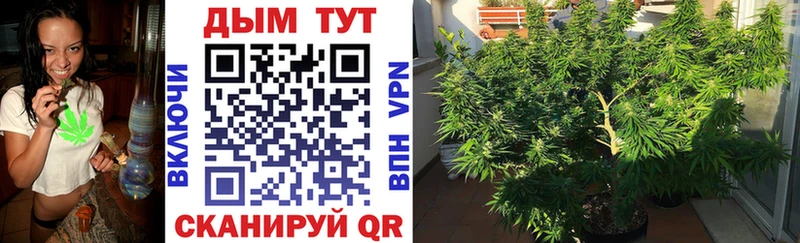 Марихуана Ganja  Приморск 